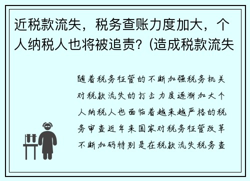 近税款流失，税务查账力度加大，个人纳税人也将被追责？(造成税款流失的处罚)