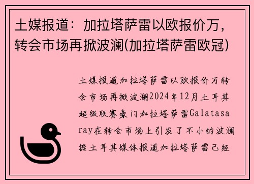 土媒报道：加拉塔萨雷以欧报价万，转会市场再掀波澜(加拉塔萨雷欧冠)