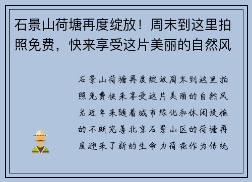 石景山荷塘再度绽放！周末到这里拍照免费，快来享受这片美丽的自然风光！