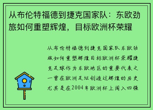 从布伦特福德到捷克国家队：东欧劲旅如何重塑辉煌，目标欧洲杯荣耀