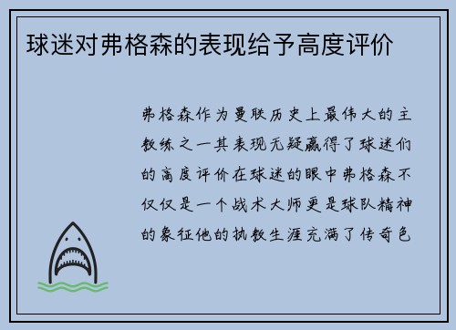 球迷对弗格森的表现给予高度评价