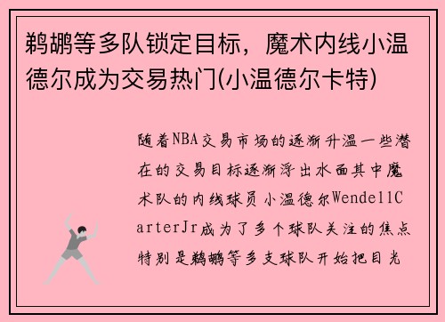 鹈鹕等多队锁定目标，魔术内线小温德尔成为交易热门(小温德尔卡特)